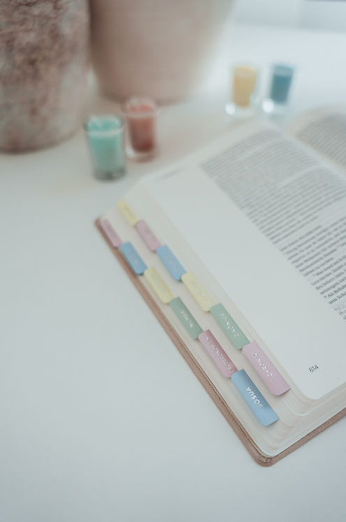 Bibel-Griffregister Pastell (liebezurbibel)