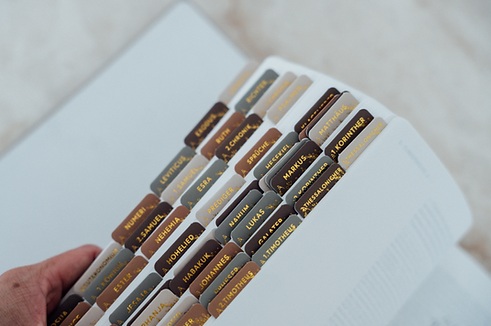 Bibel-Griffregister erdfarben (liebezurbibel)