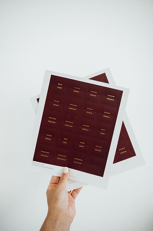 Bibel-Griffregister Weinrot (liebezurbibel)