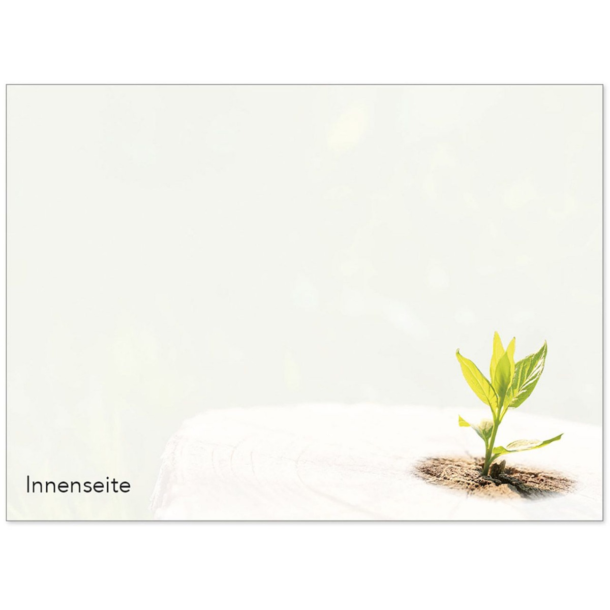 Haftnotizblock Jahreslosung Gott spricht: Siehe ich mache alles neu