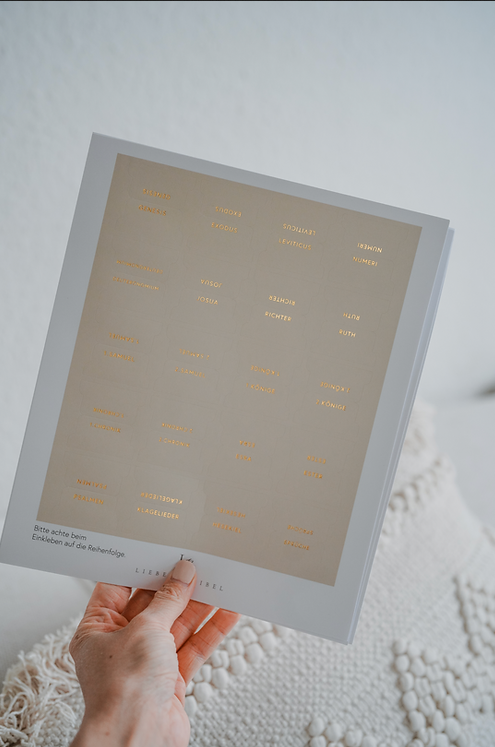 Bibel-Griffregister taupe/beige (liebezurbibel)