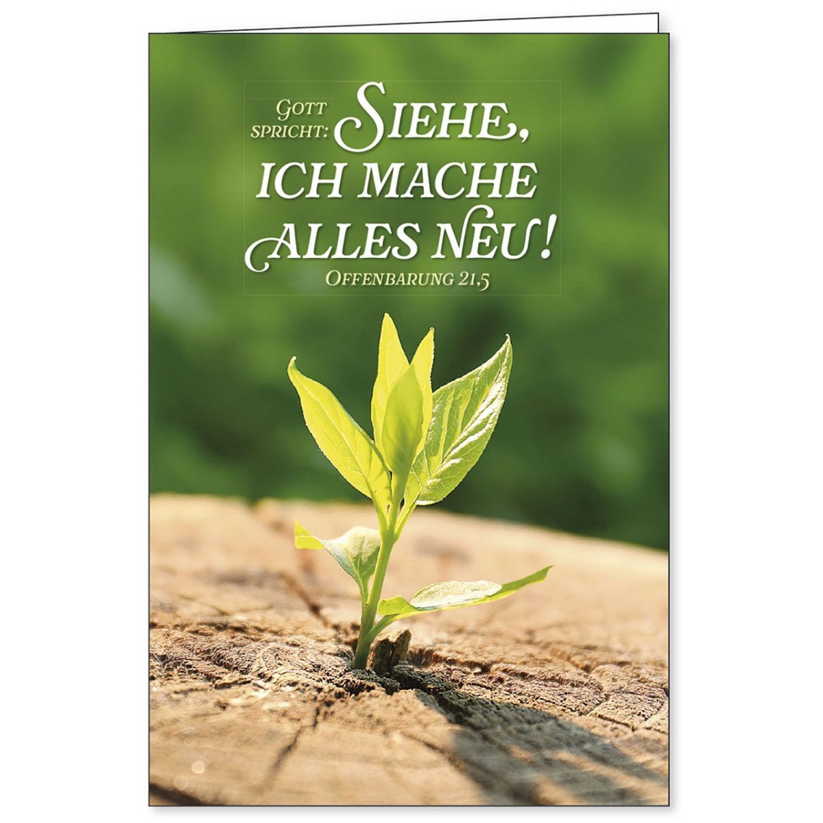 Faltkarte Gott spricht: Siehe ich mache alles neu